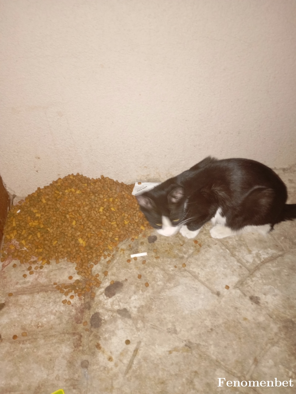 Cemklyl tarafından paylaşıldı