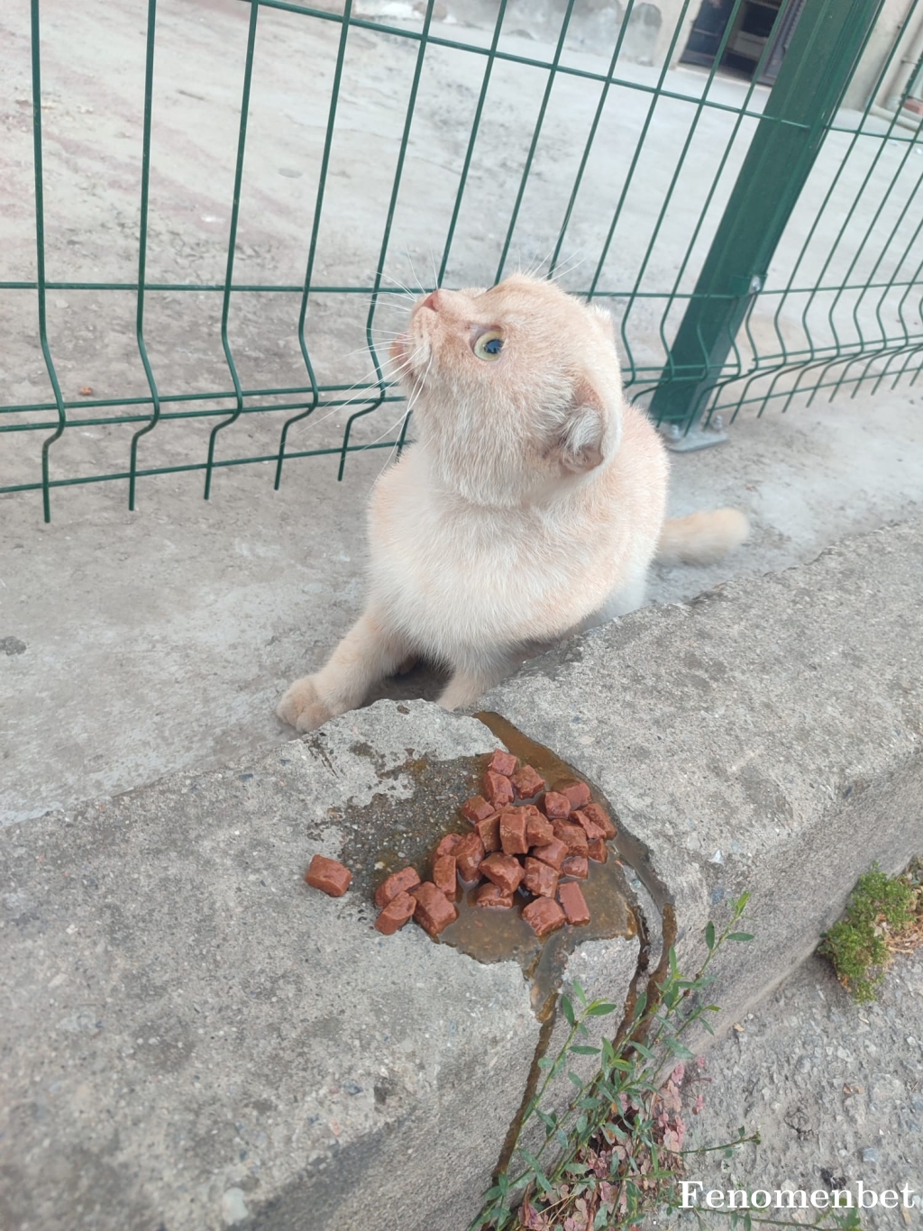 sudegnn tarafından paylaşıldı