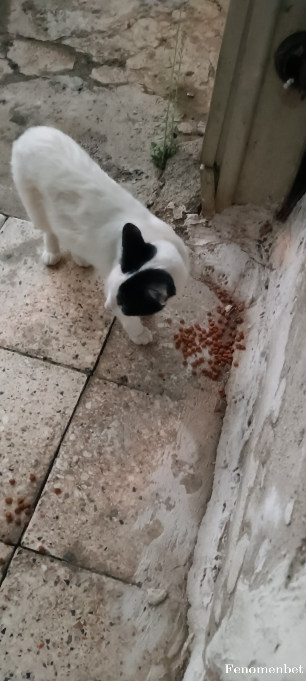 burakturkmen tarafından paylaşıldı