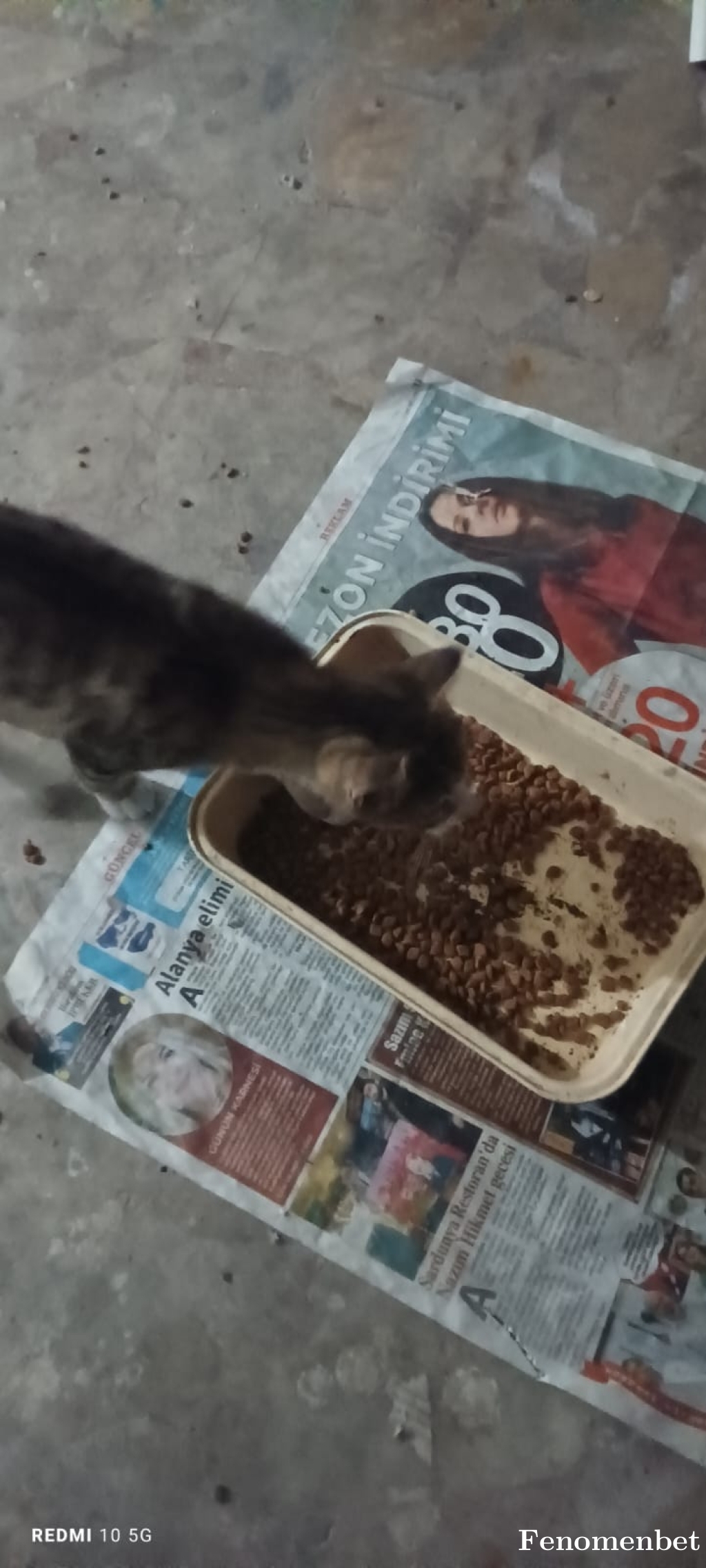 Nsarac tarafından paylaşıldı