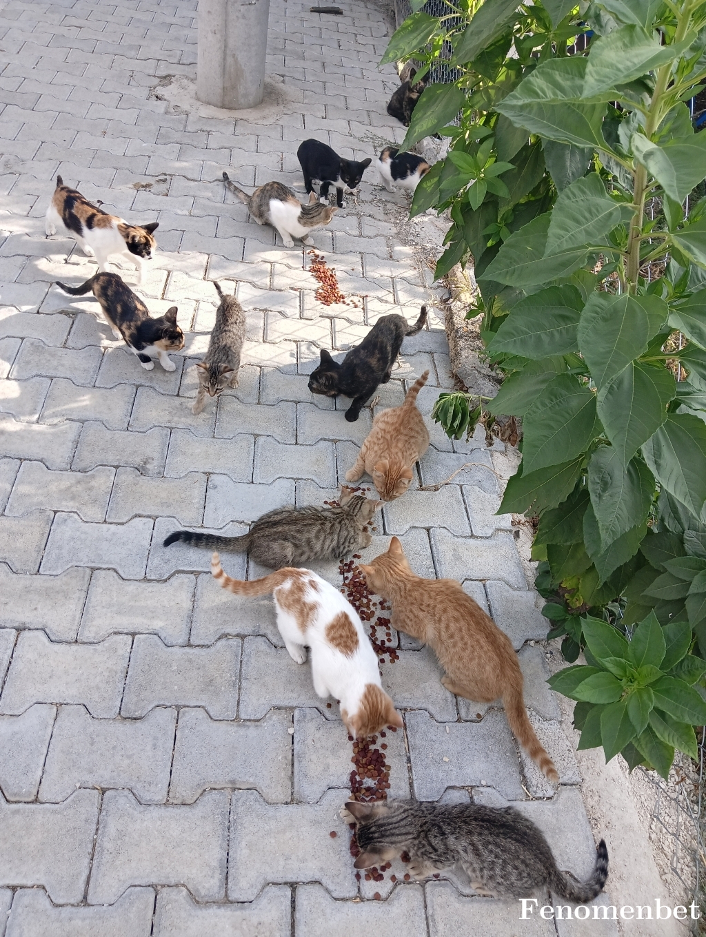 Koray1414 tarafından paylaşıldı