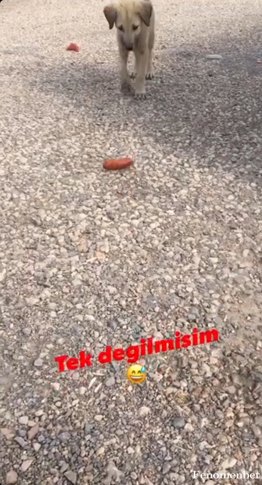 Eminkrt42 tarafından paylaşıldı