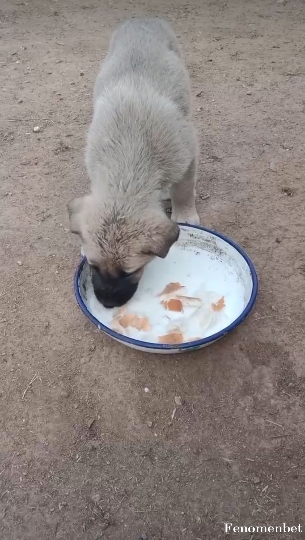 Casinoman12 tarafından paylaşıldı