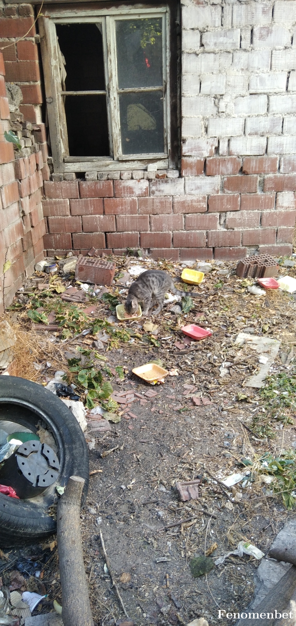 ilhan026 tarafından paylaşıldı