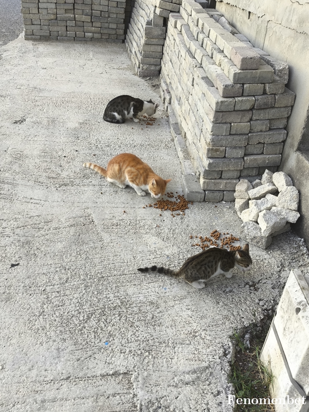 Turbo89 tarafından paylaşıldı