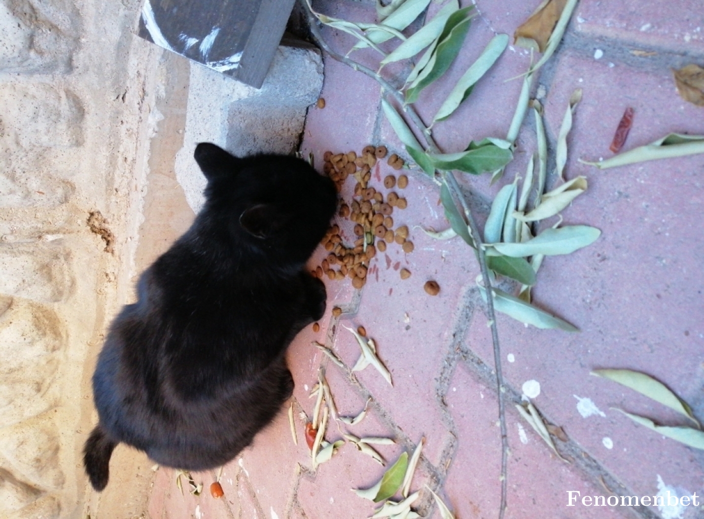 Cigdem777 tarafından paylaşıldı