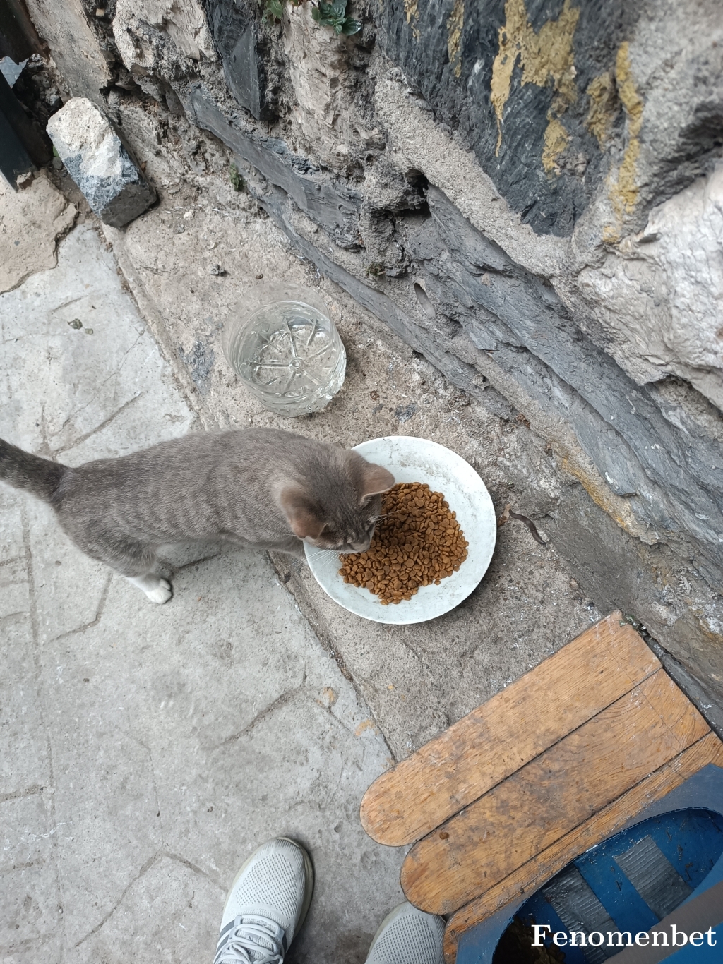 Davsin  tarafından paylaşıldı