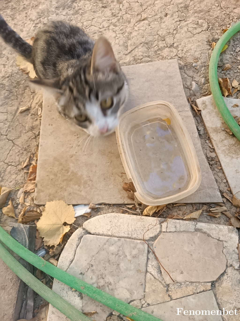 Hadimaca tarafından paylaşıldı