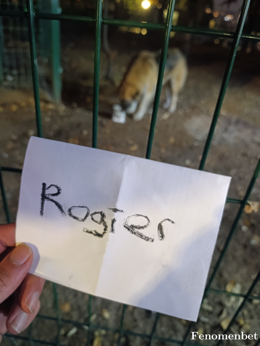 Rogier  tarafından paylaşıldı