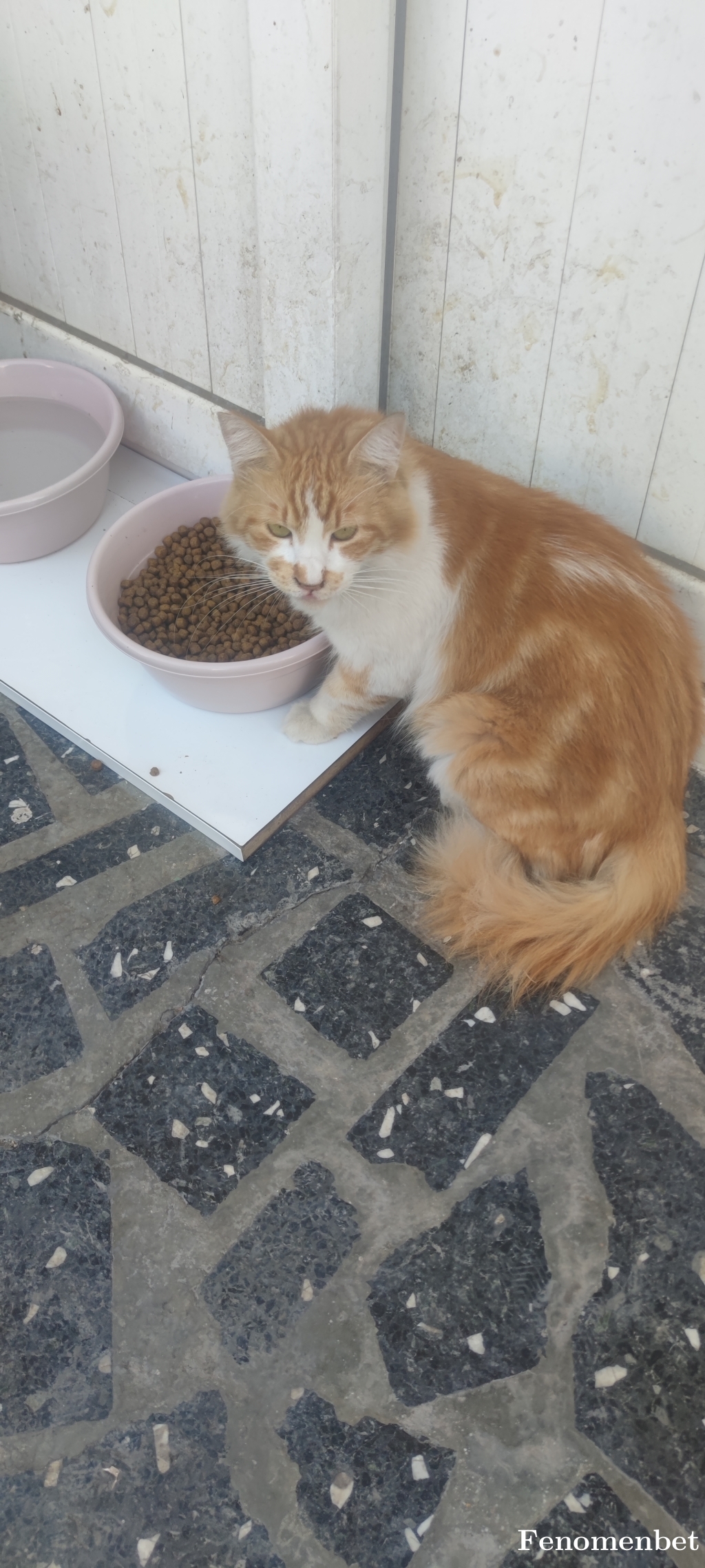 serjan88 tarafından paylaşıldı