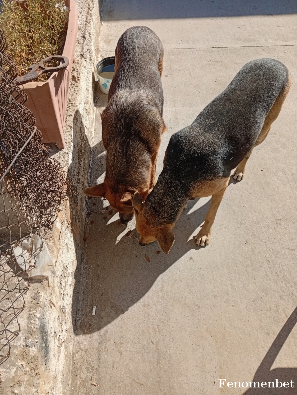 carlos2525 tarafından paylaşıldı