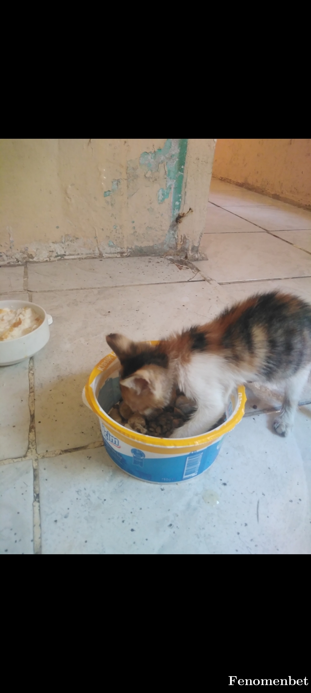 Krgz67  tarafından paylaşıldı