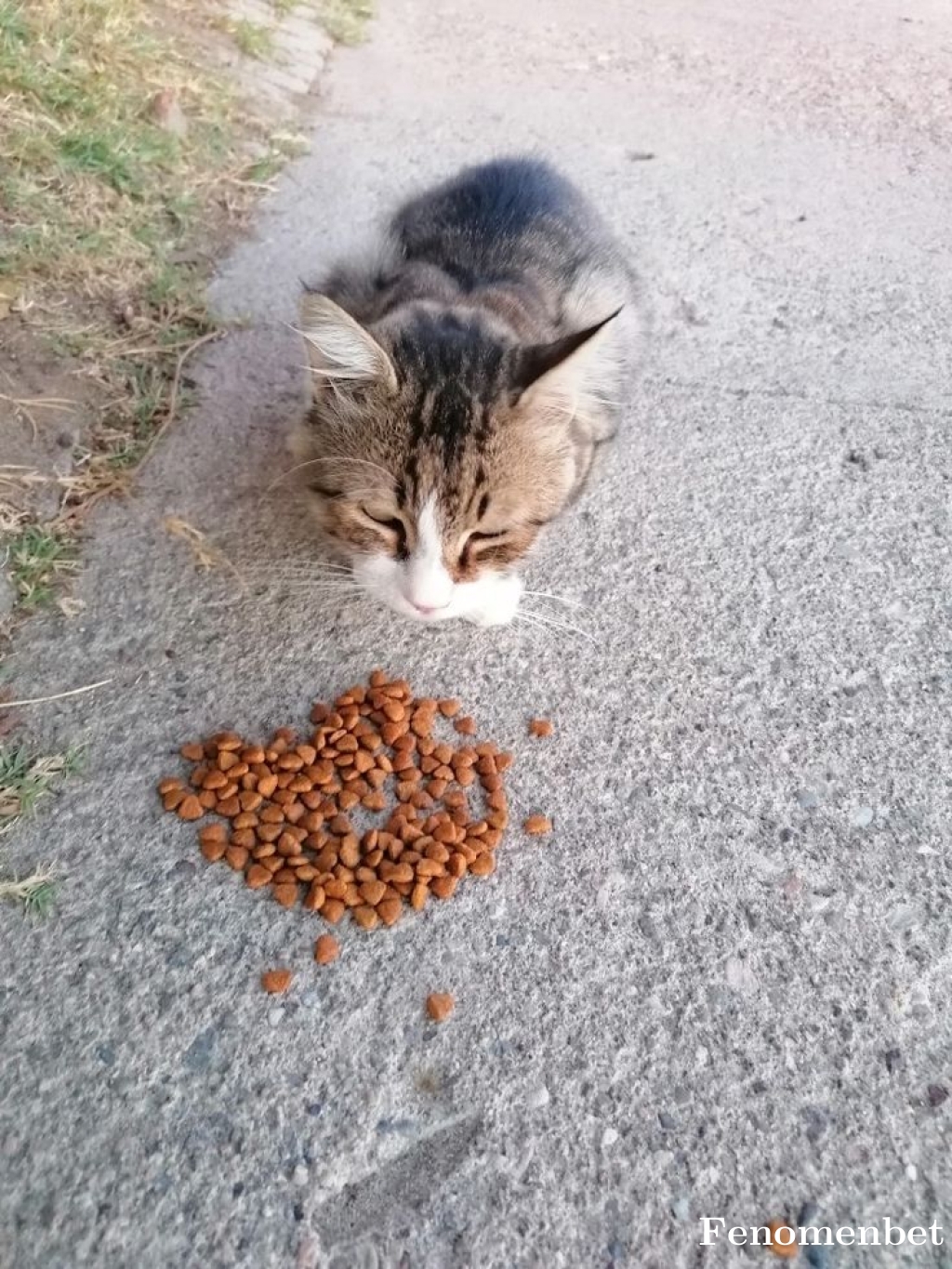 Abdurrahmanrr tarafından paylaşıldı