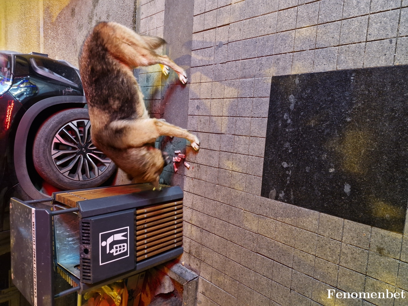 arda77kg tarafından paylaşıldı