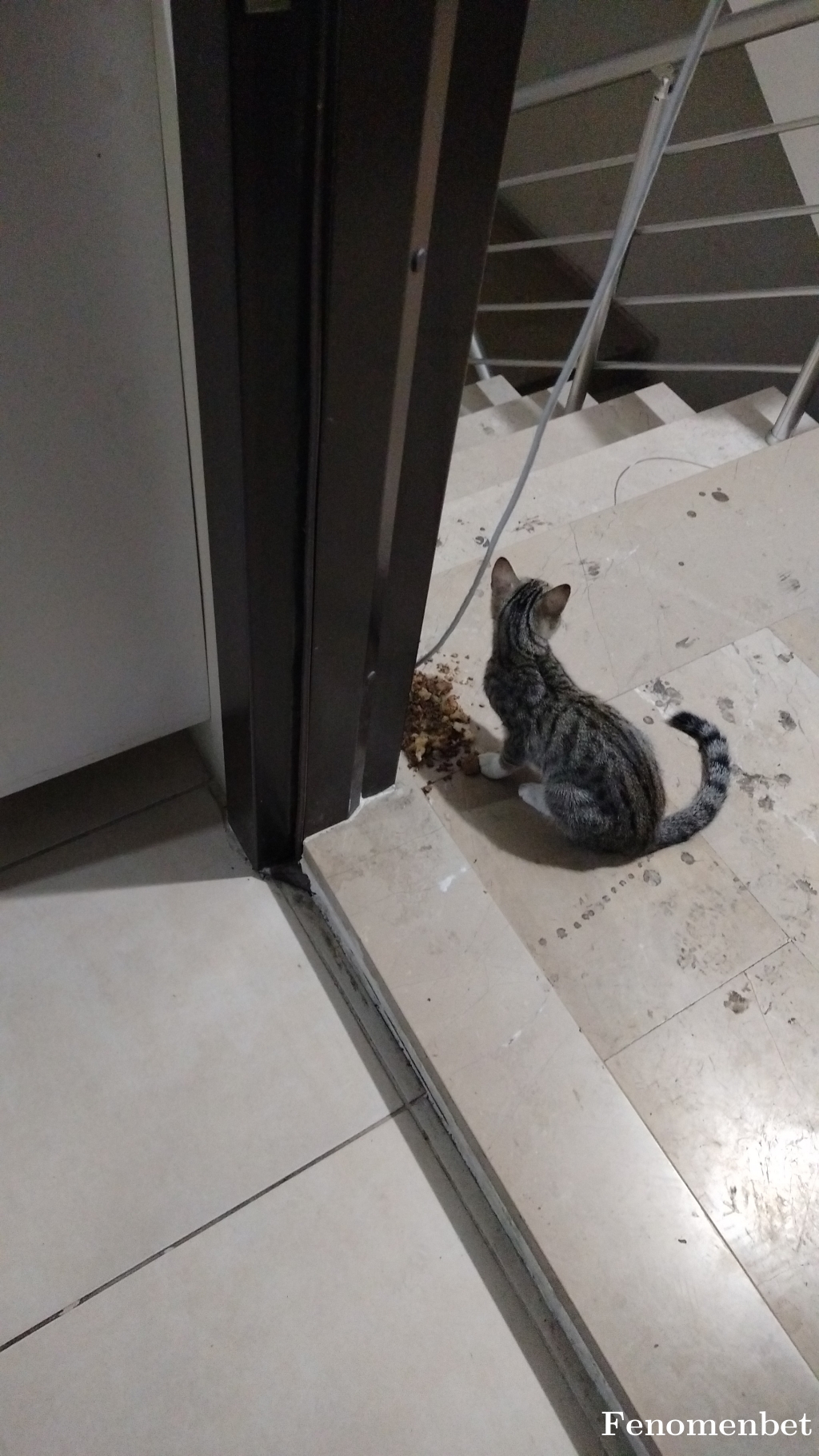 Cigdem5456 tarafından paylaşıldı