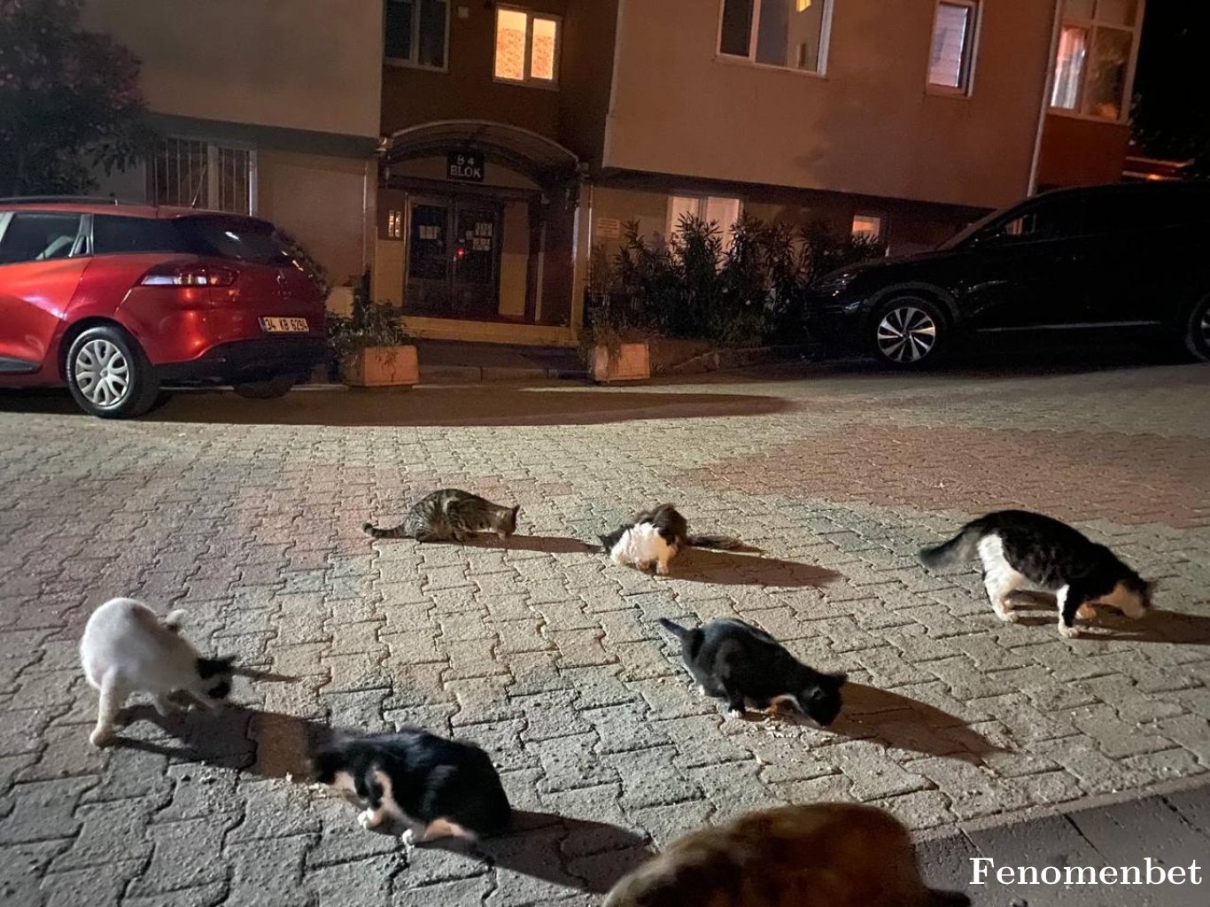 sedakaan tarafından paylaşıldı