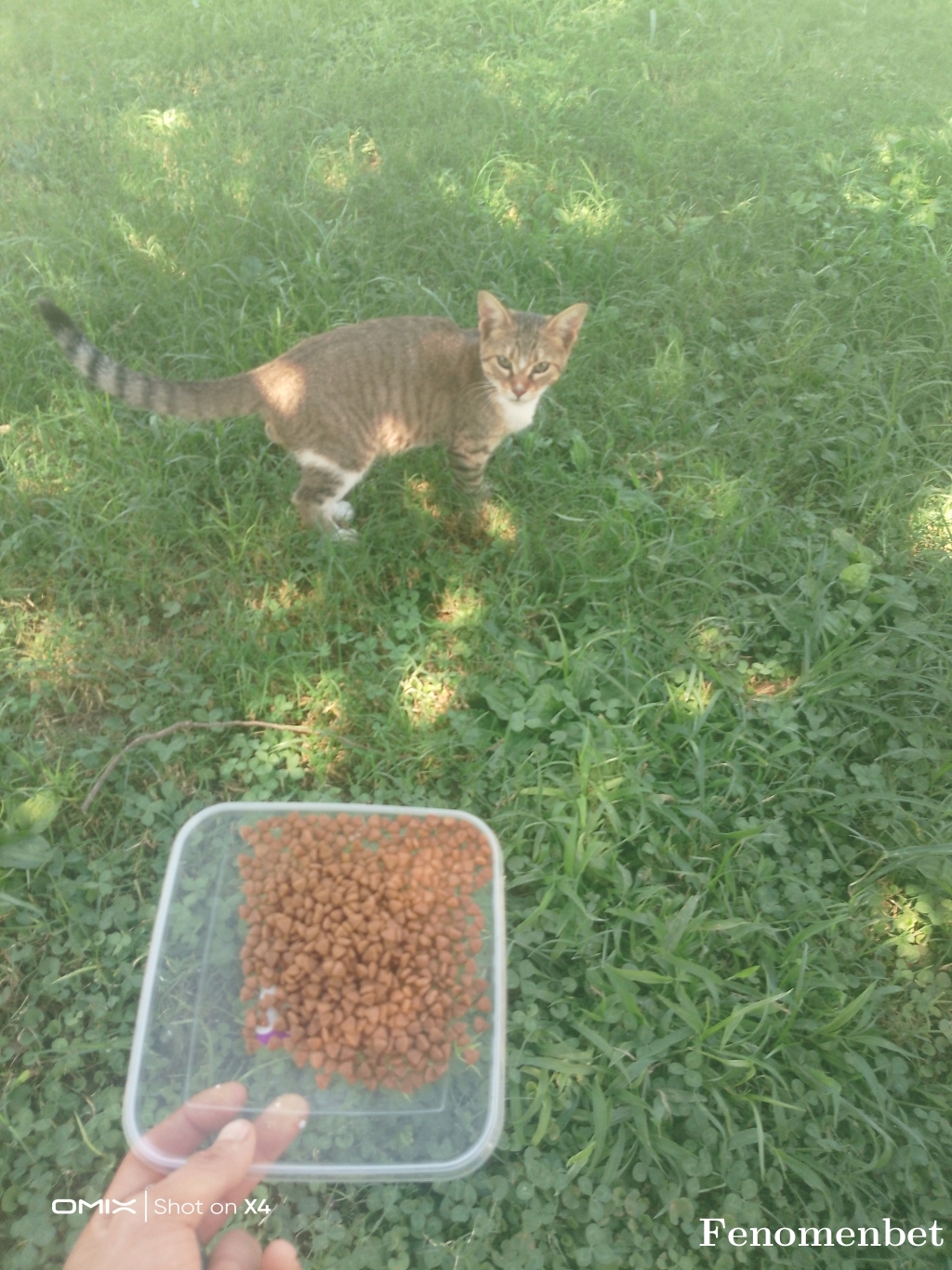 Hakkisnr13 tarafından paylaşıldı