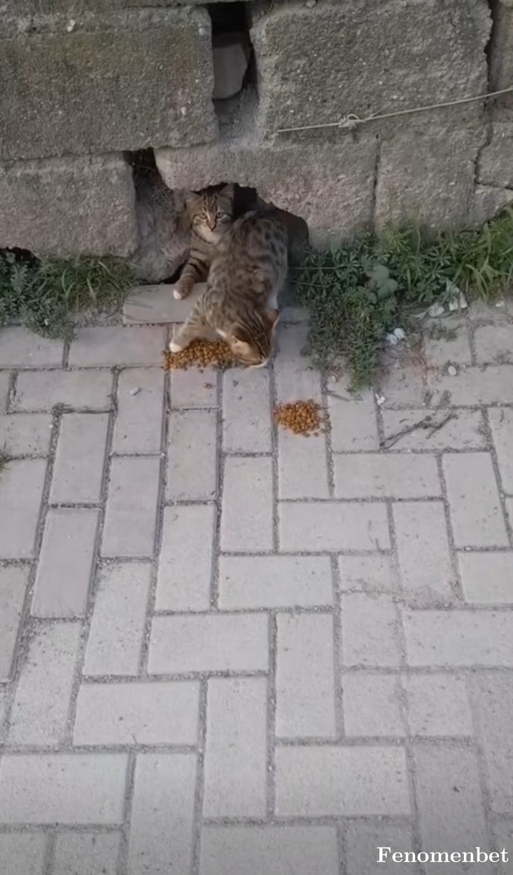 Damlatr tarafından paylaşıldı