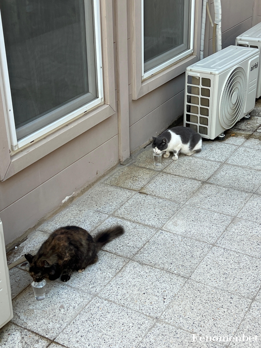 klobra tarafından paylaşıldı