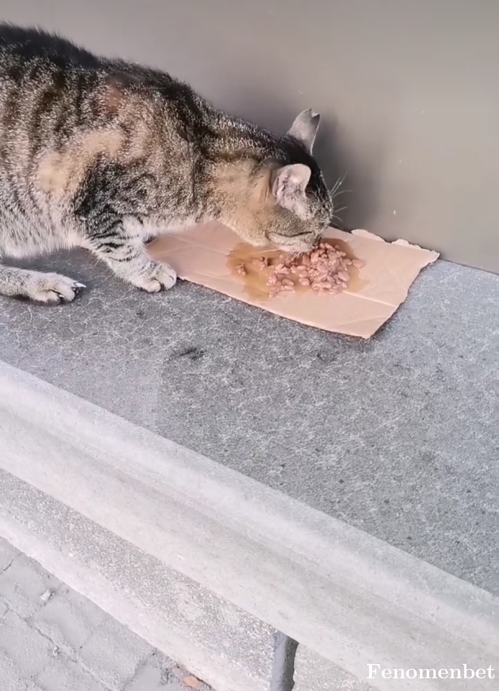 Firatkckrs tarafından paylaşıldı