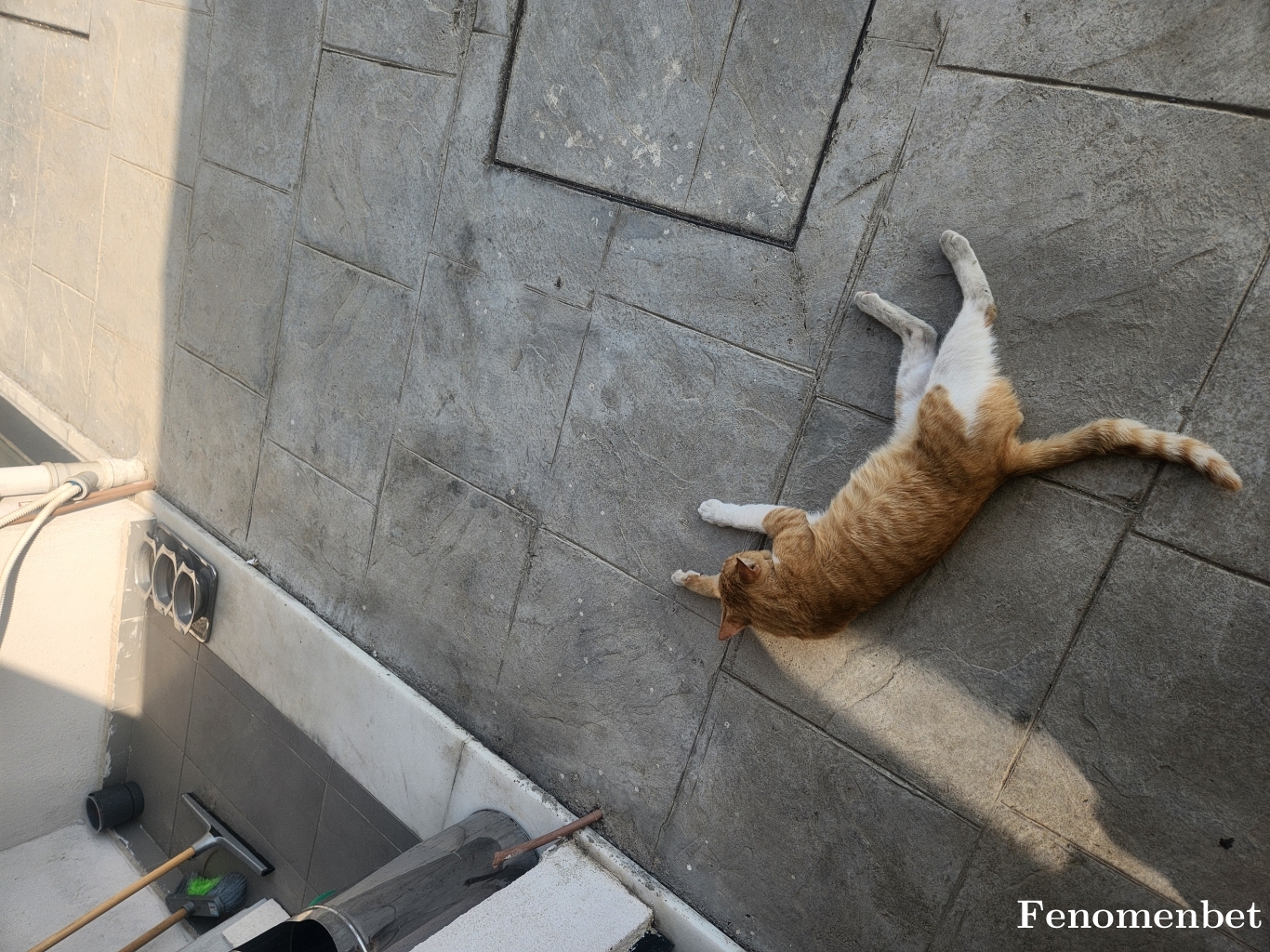 Mavi7777 tarafından paylaşıldı