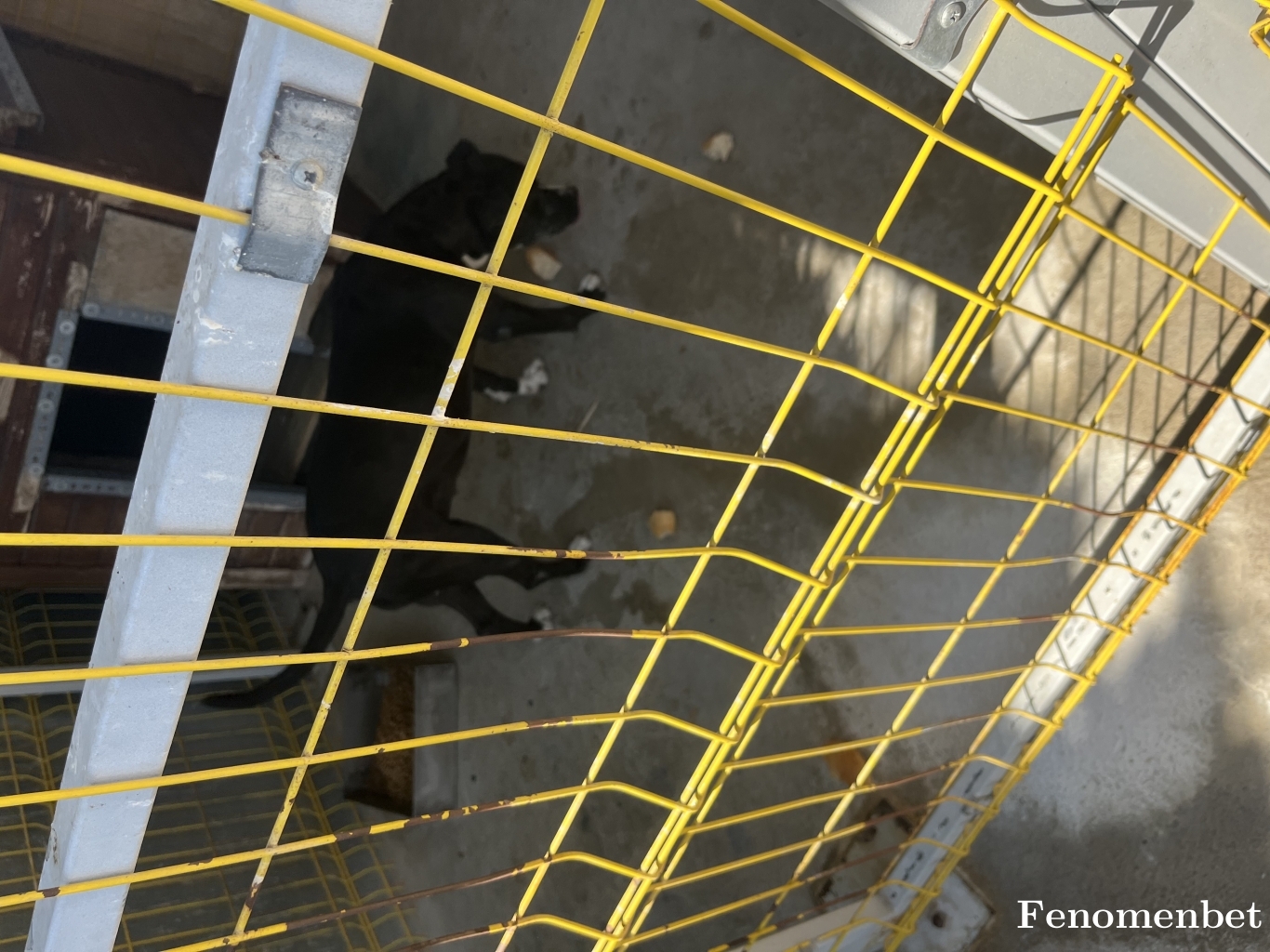 Akigolu1 tarafından paylaşıldı