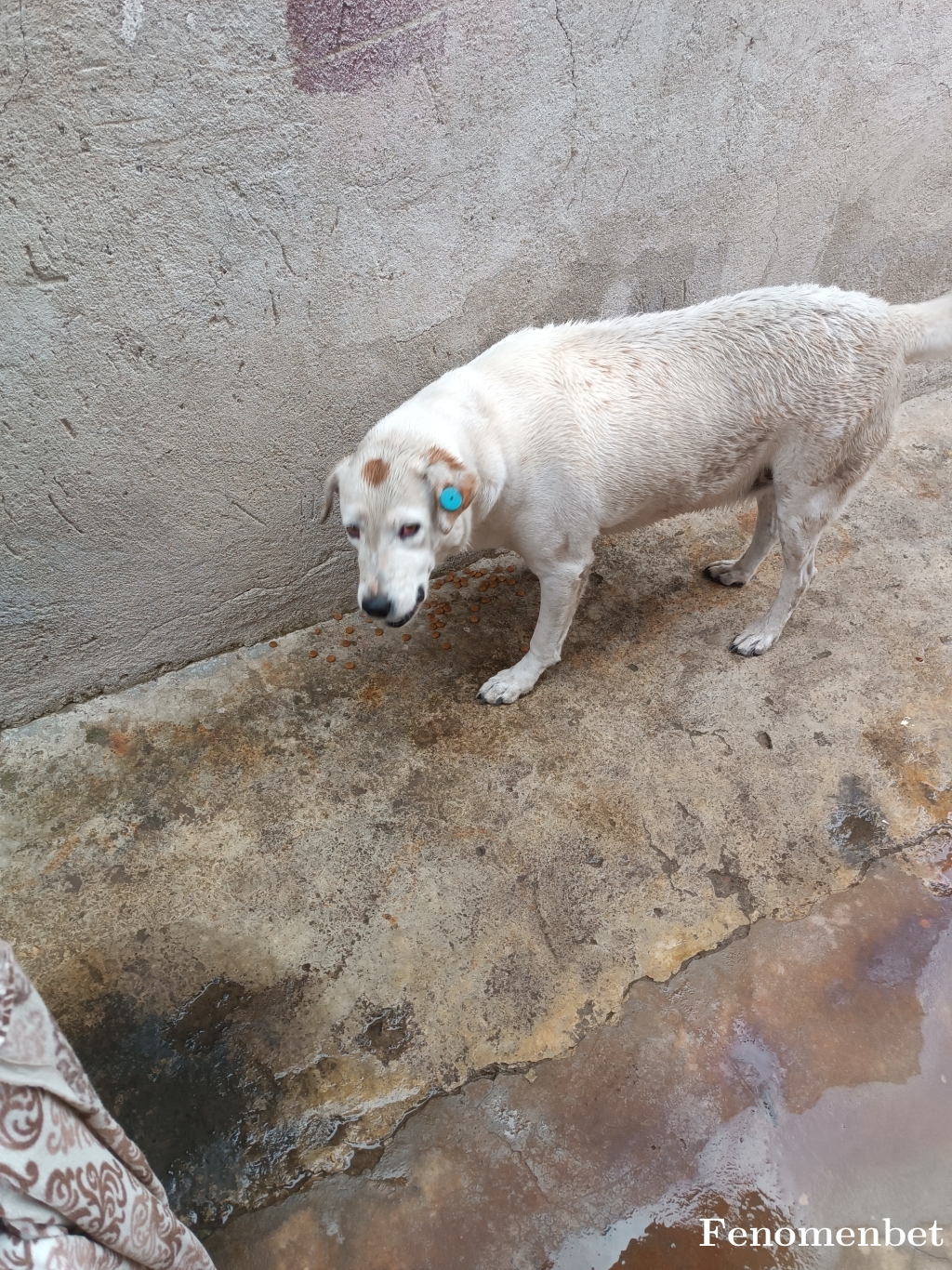 Wolf256 tarafından paylaşıldı