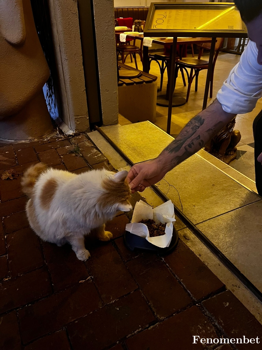 Rockyemre tarafından paylaşıldı