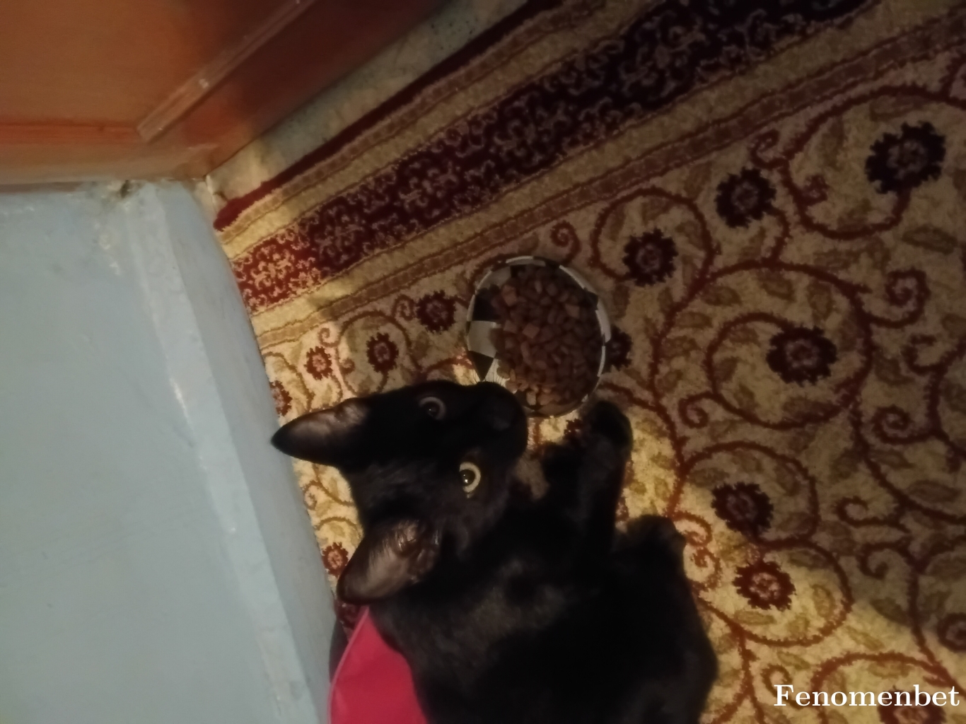 Buket5380  tarafından paylaşıldı