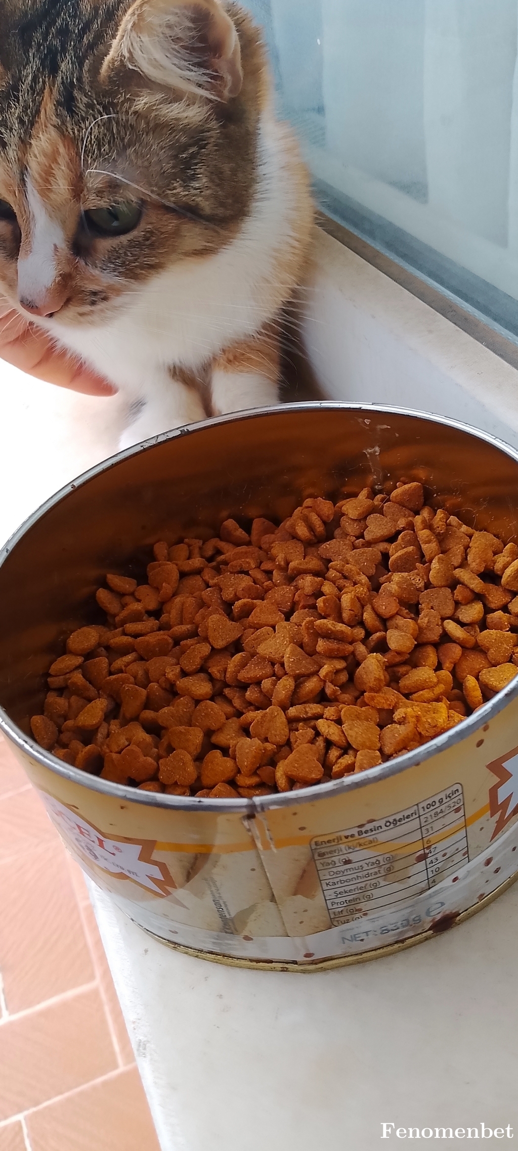 ercanalagoztr  tarafından paylaşıldı