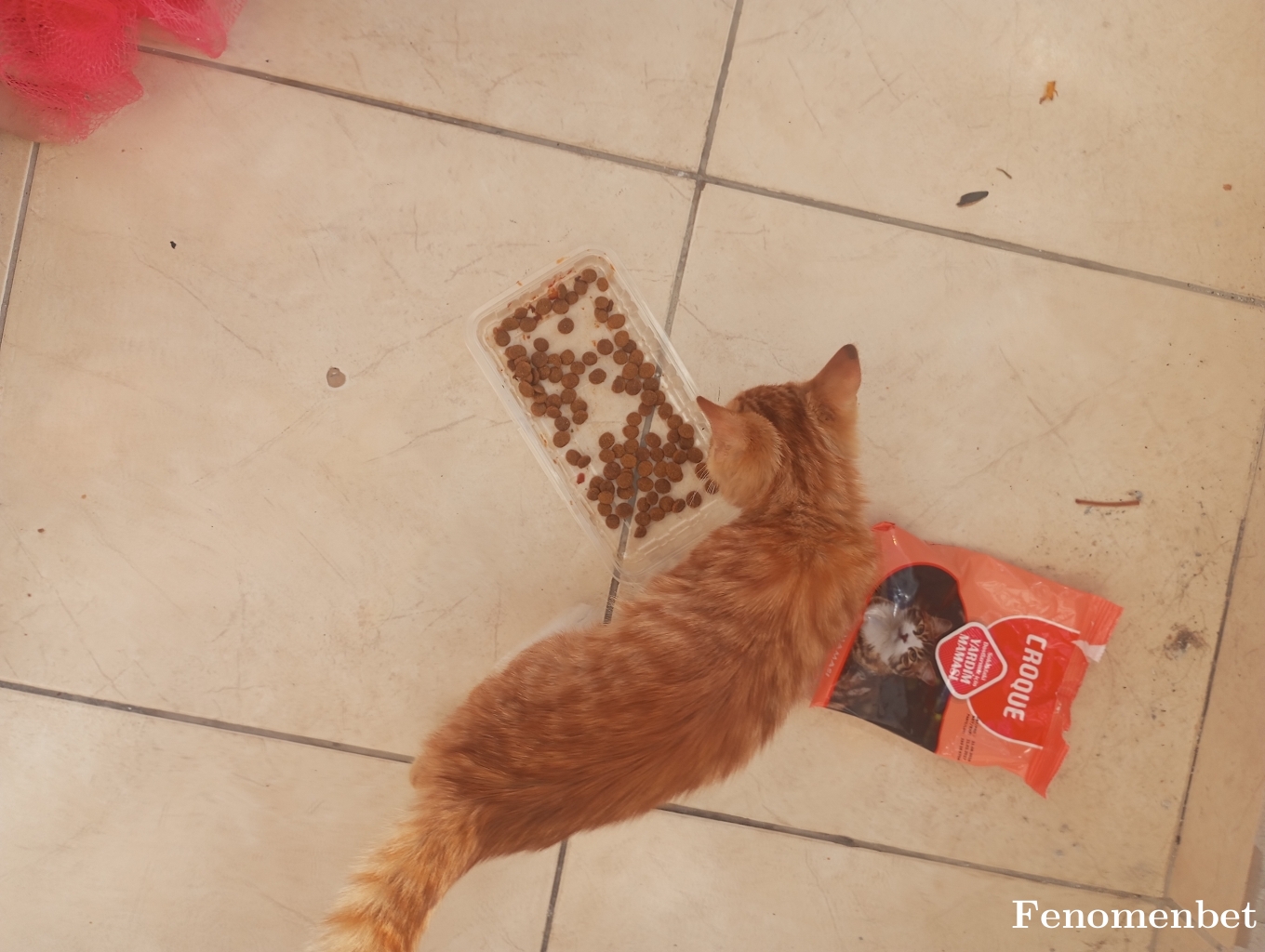 Melomelo81 tarafından paylaşıldı