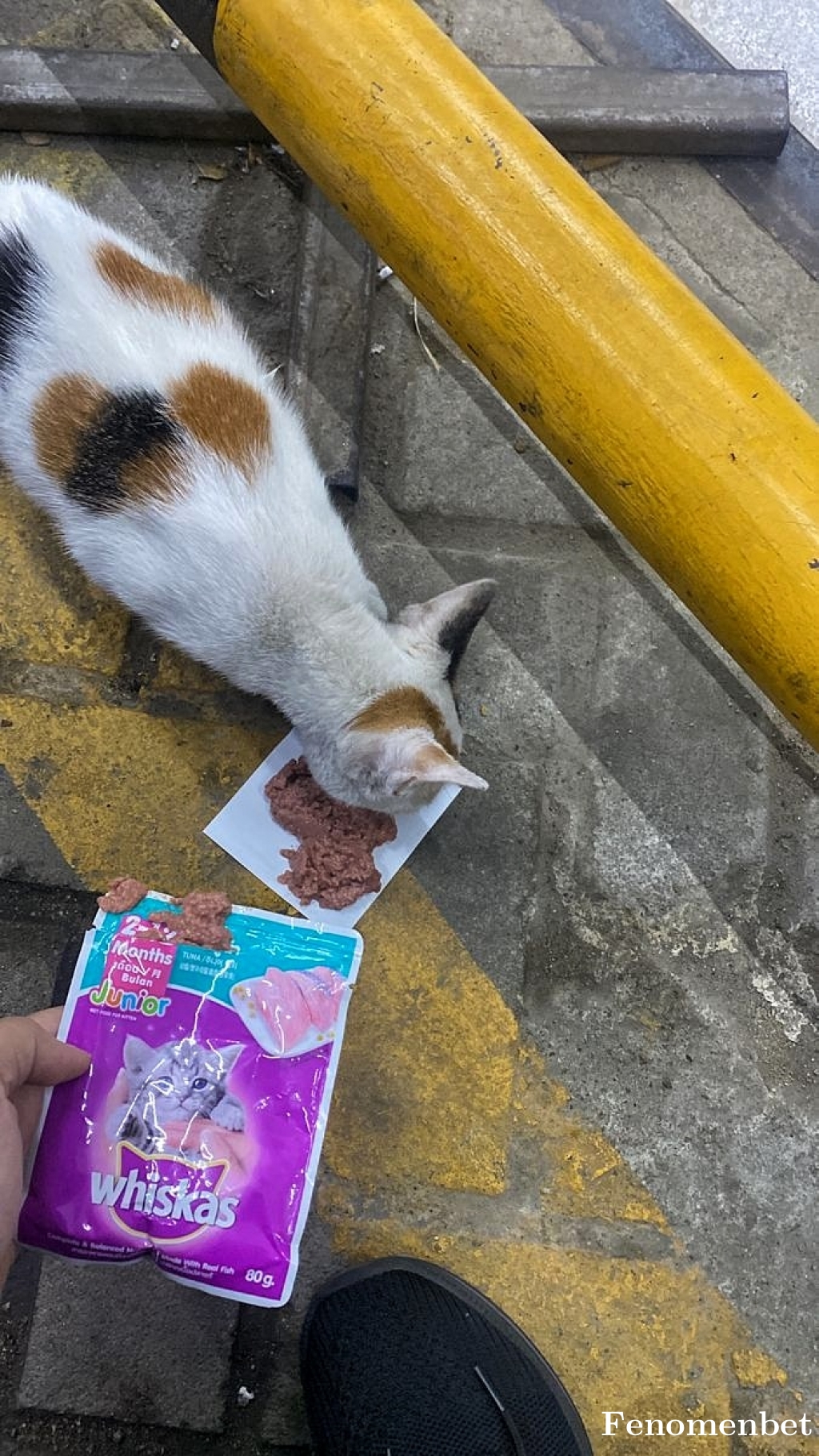 0027ibo tarafından paylaşıldı