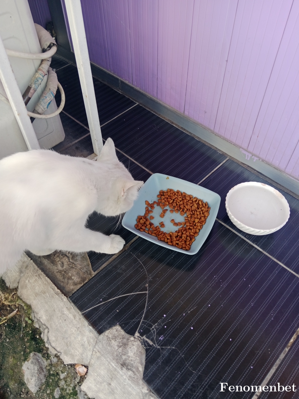 canbrnc01 tarafından paylaşıldı