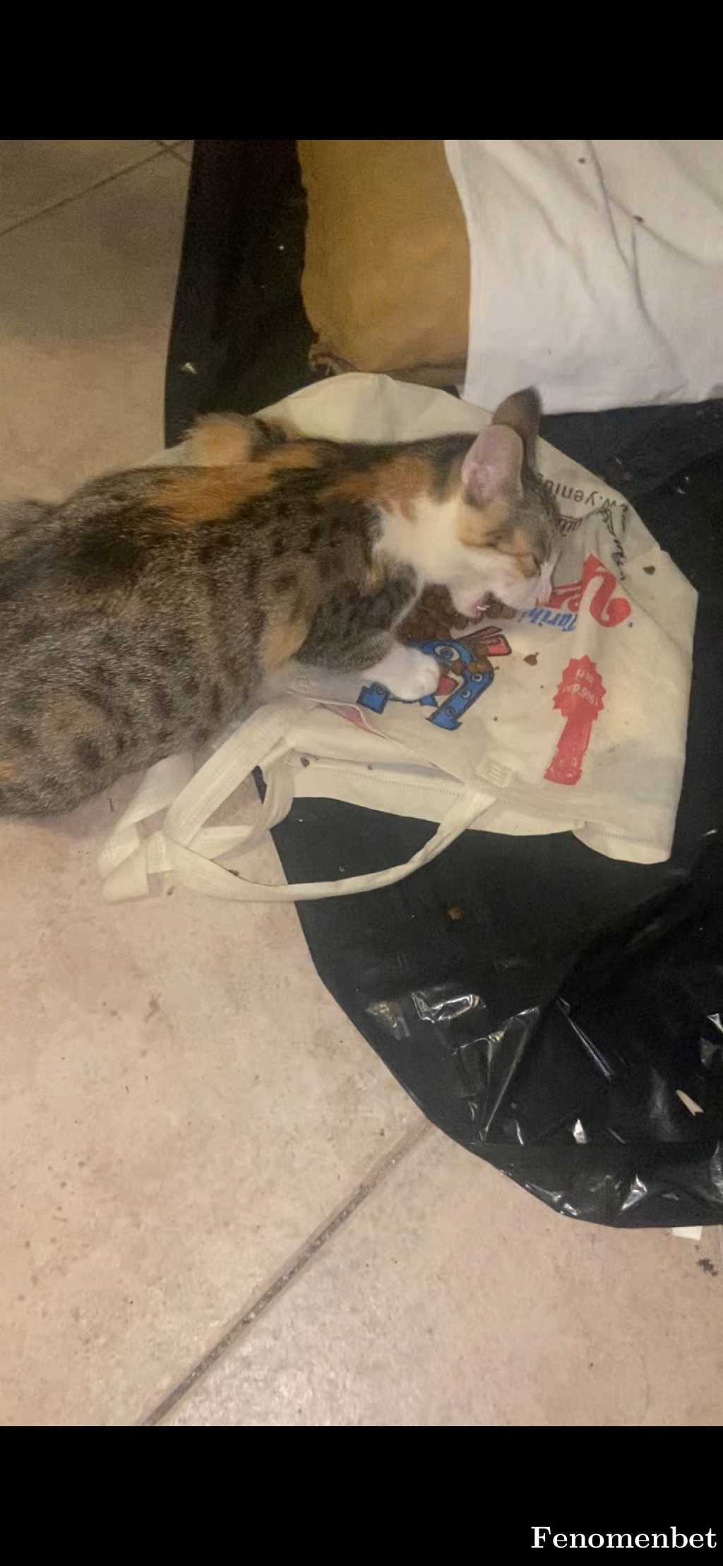 burakdncr tarafından paylaşıldı