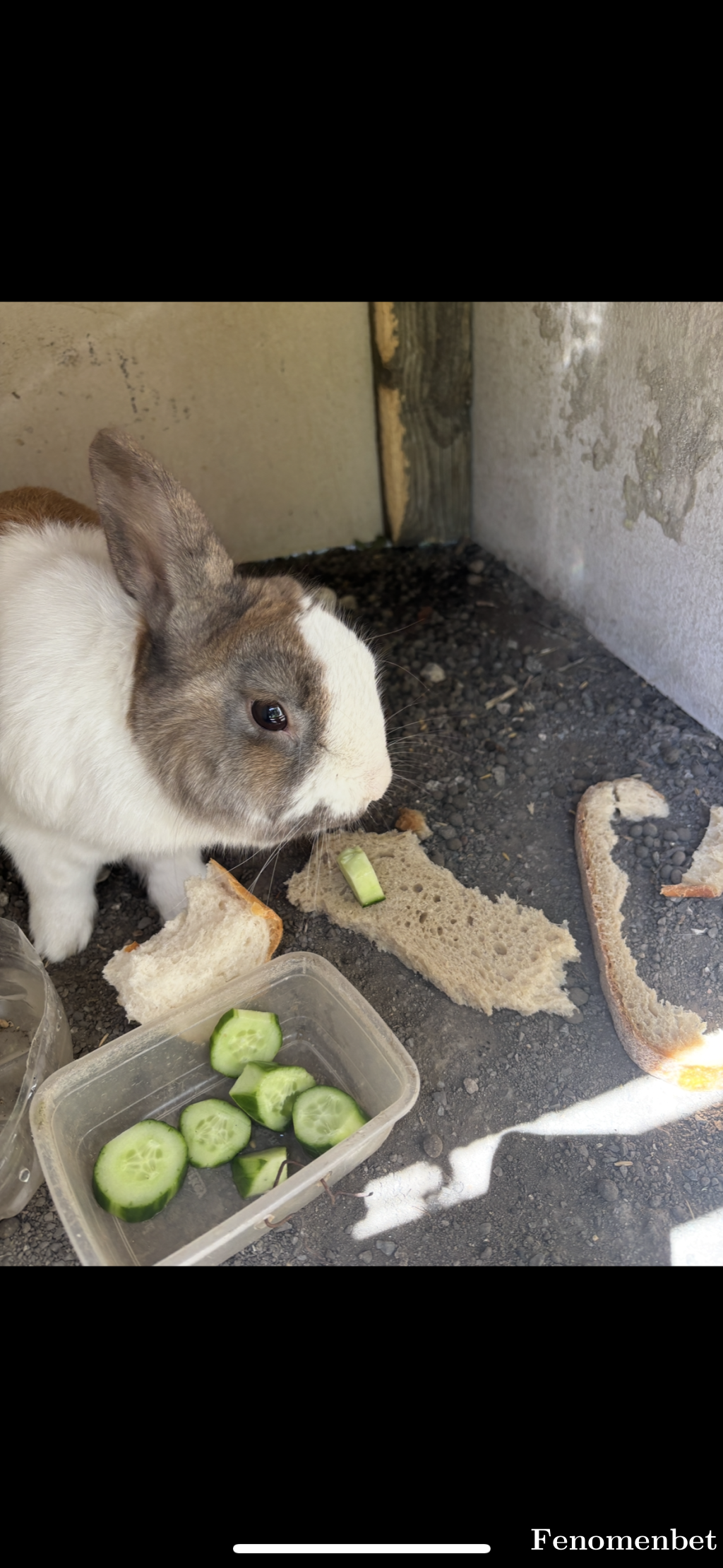 ebrarkckilhan tarafından paylaşıldı