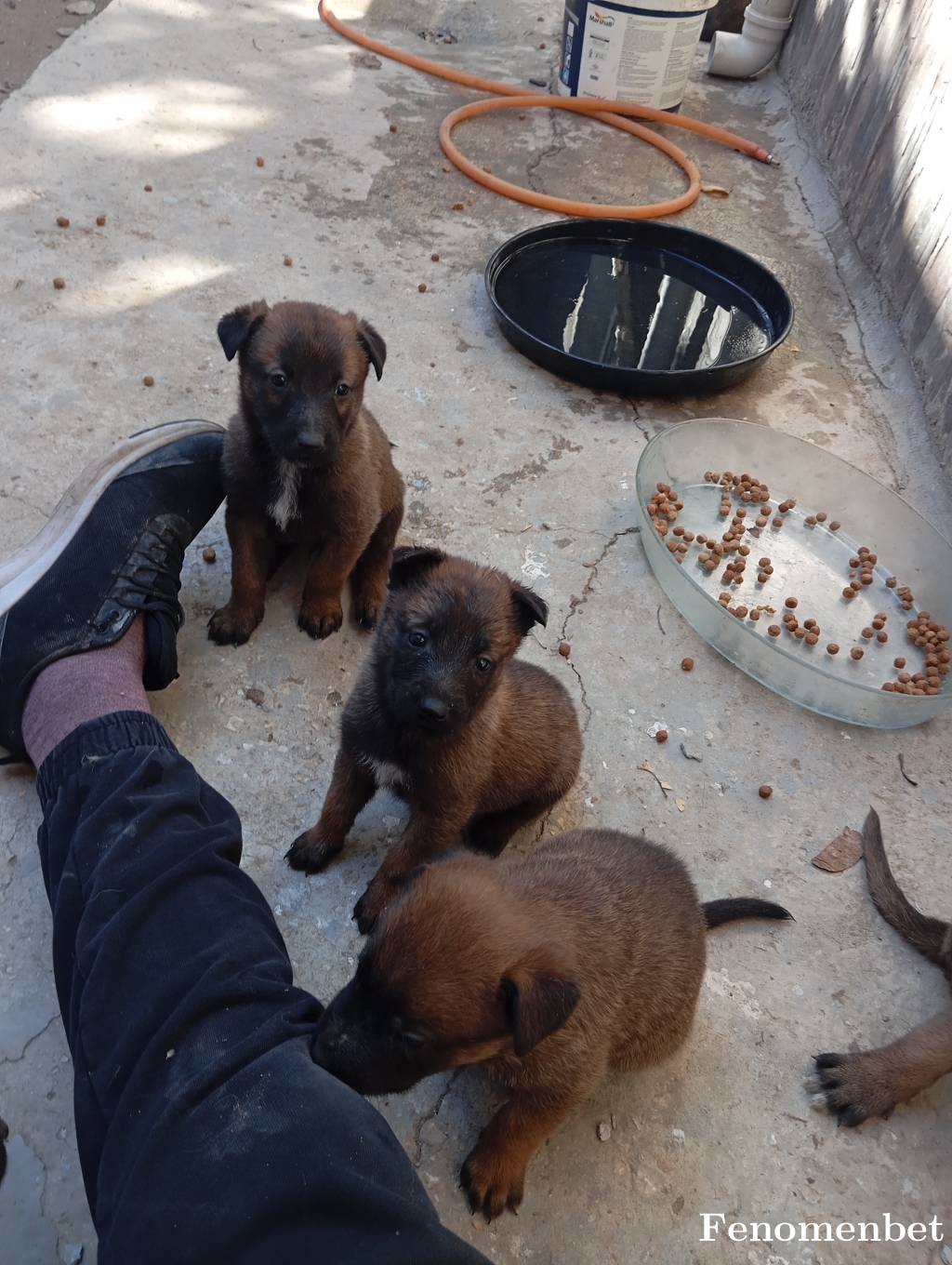 ersin1809 tarafından paylaşıldı