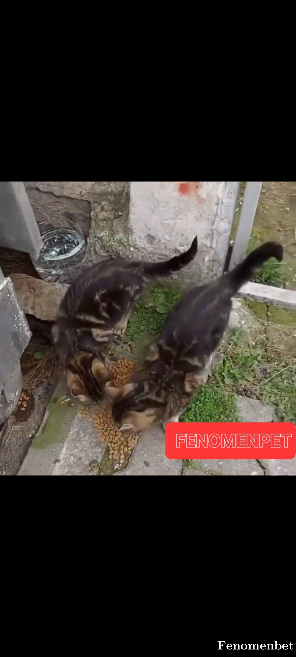 enesyldzz tarafından paylaşıldı