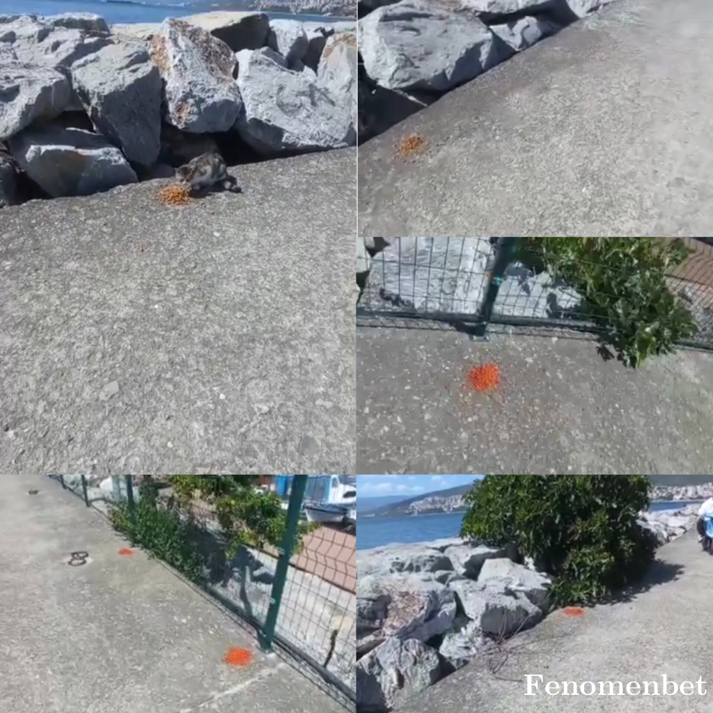 maxiwolx tarafından paylaşıldı