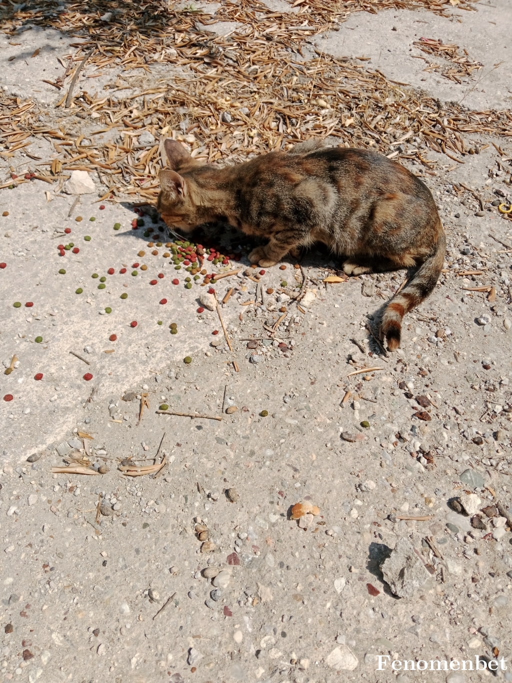 Nevra45 tarafından paylaşıldı