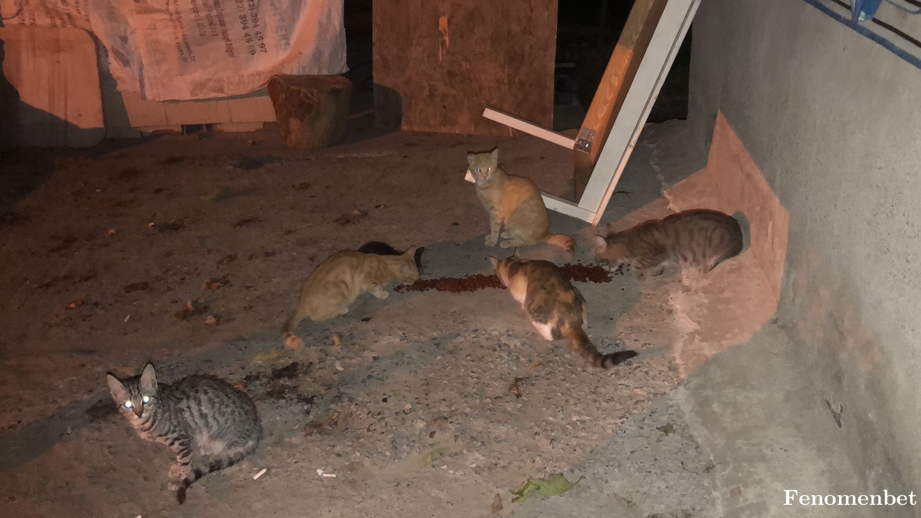 Ssevgiz tarafından paylaşıldı