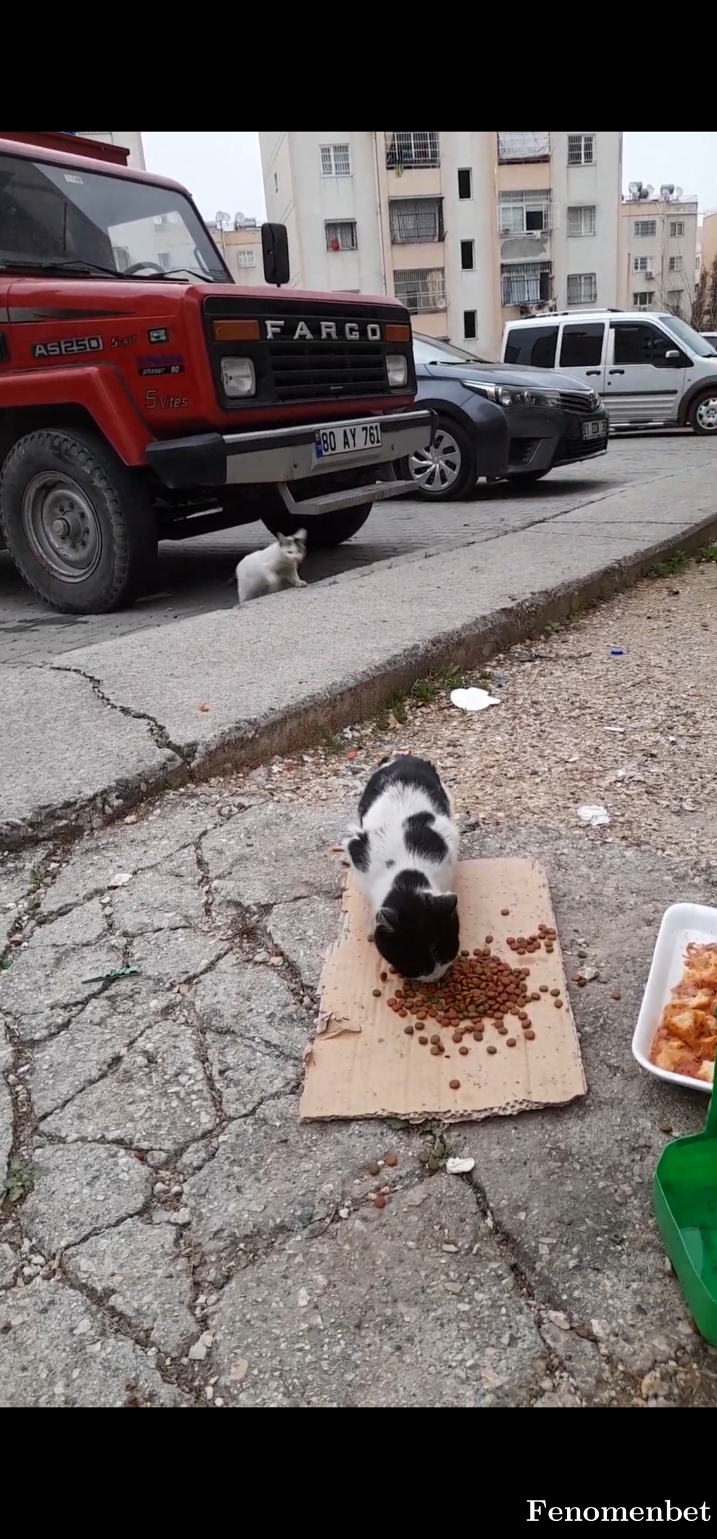 Partizan01 tarafından paylaşıldı