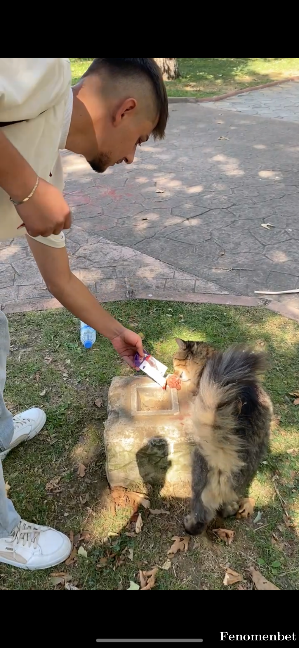 tilki4141 tarafından paylaşıldı