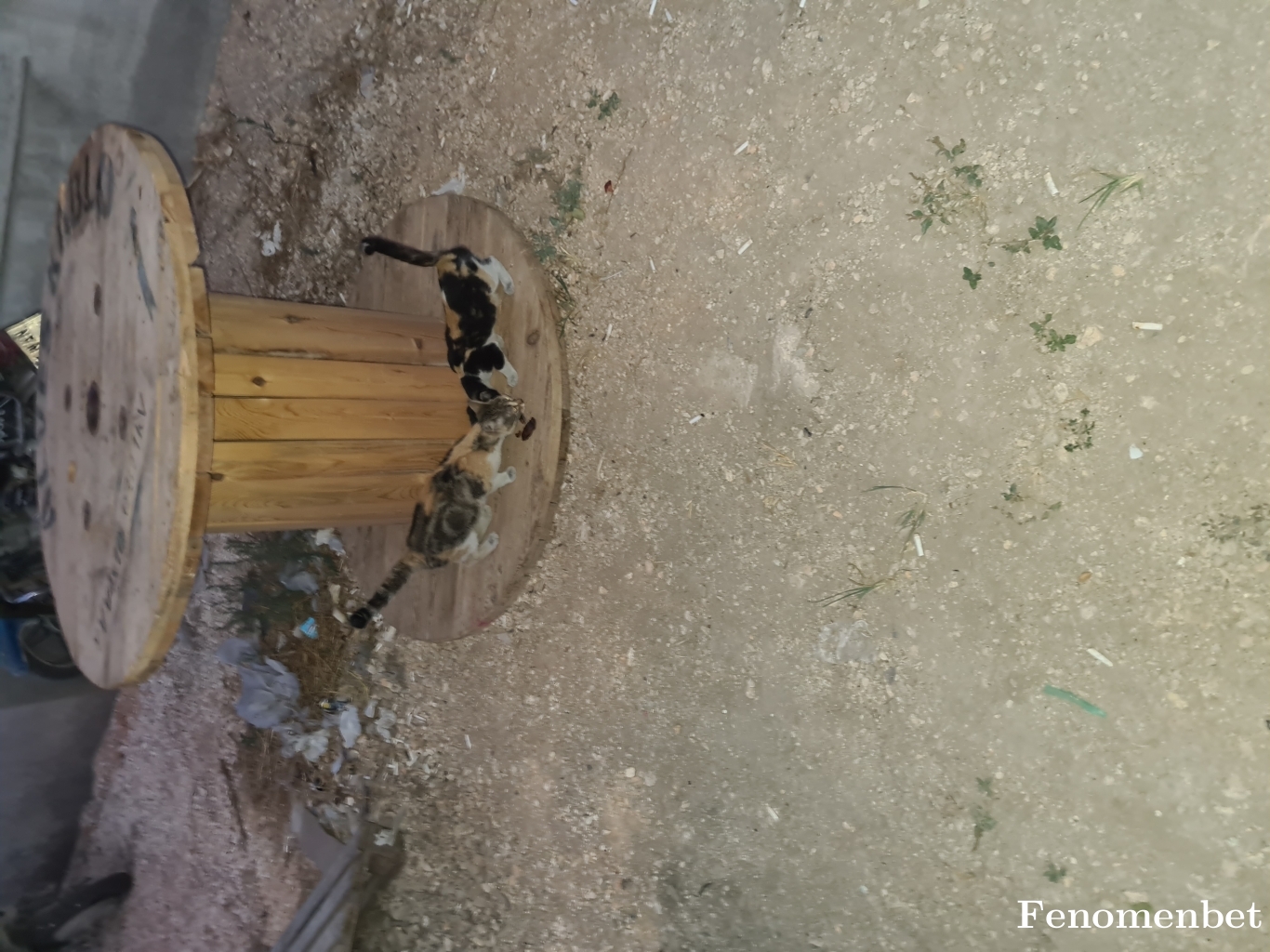 Poyraz1325 tarafından paylaşıldı