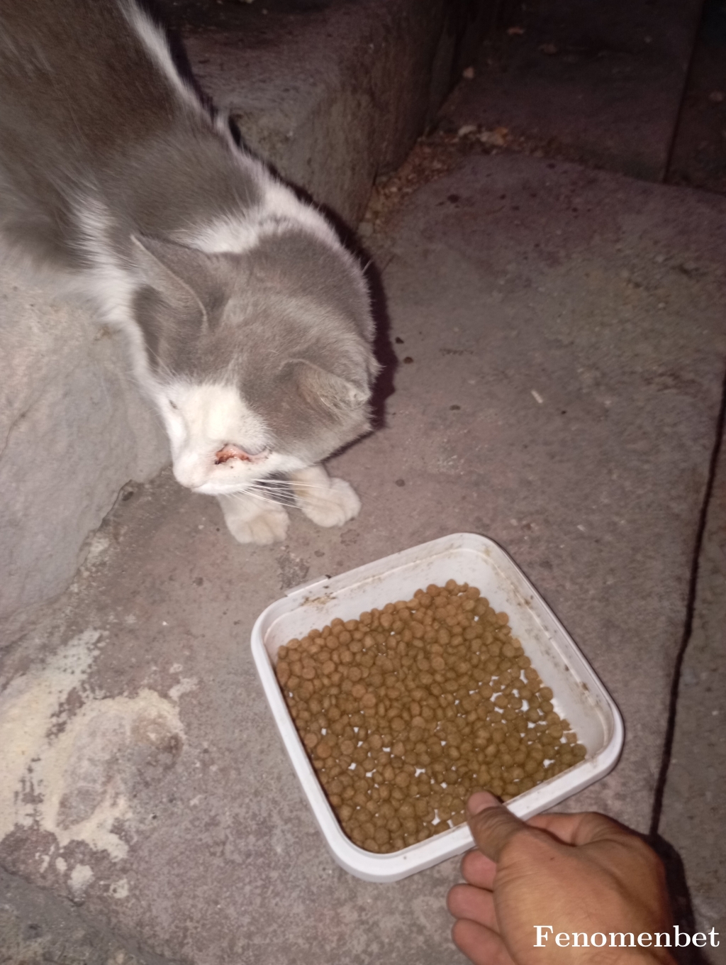 BayramGedik35 tarafından paylaşıldı