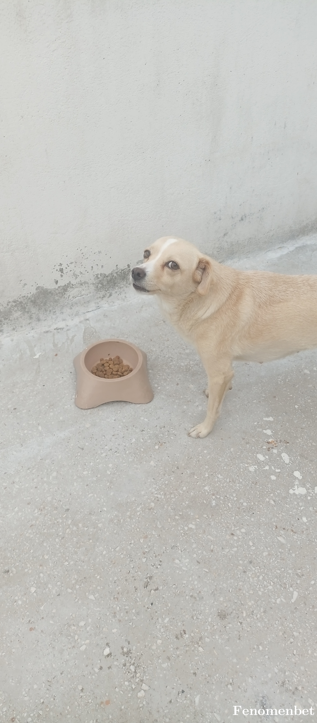 Mrt1290 tarafından paylaşıldı