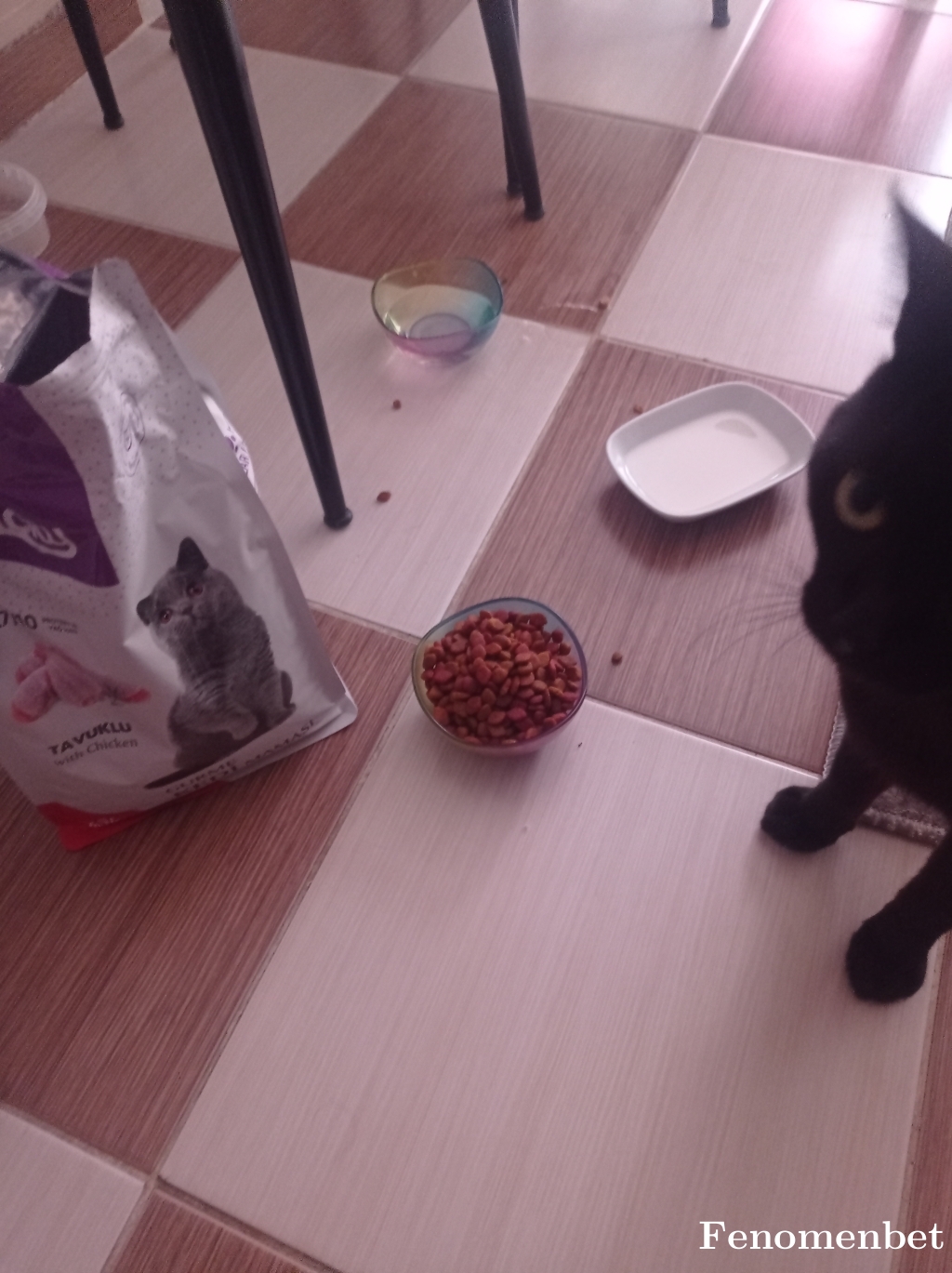 Wilcard28  tarafından paylaşıldı