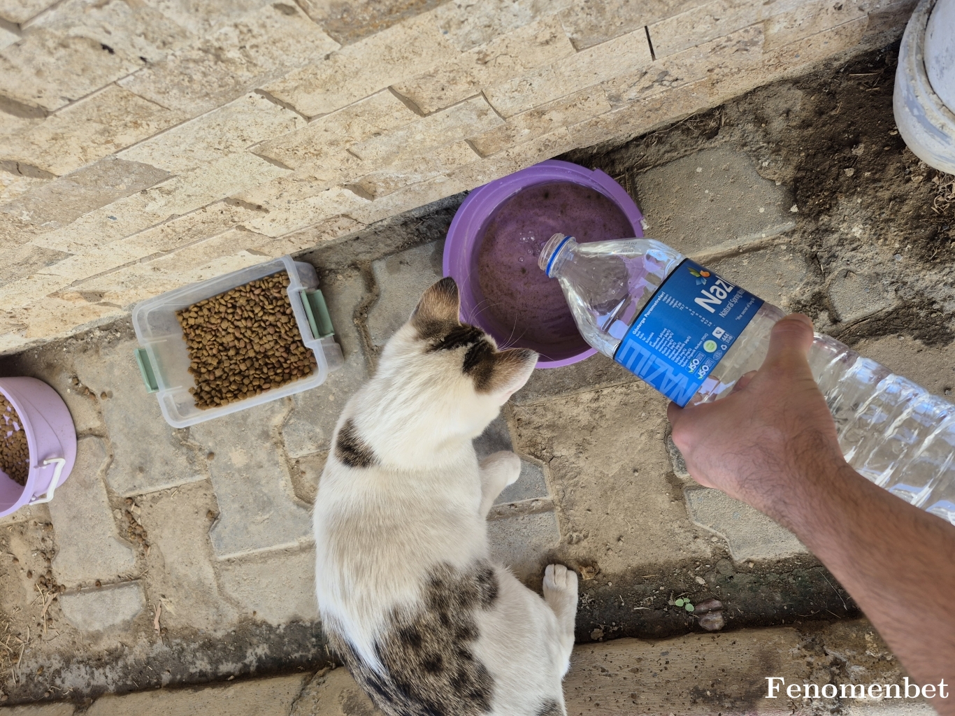 onder1511 tarafından paylaşıldı