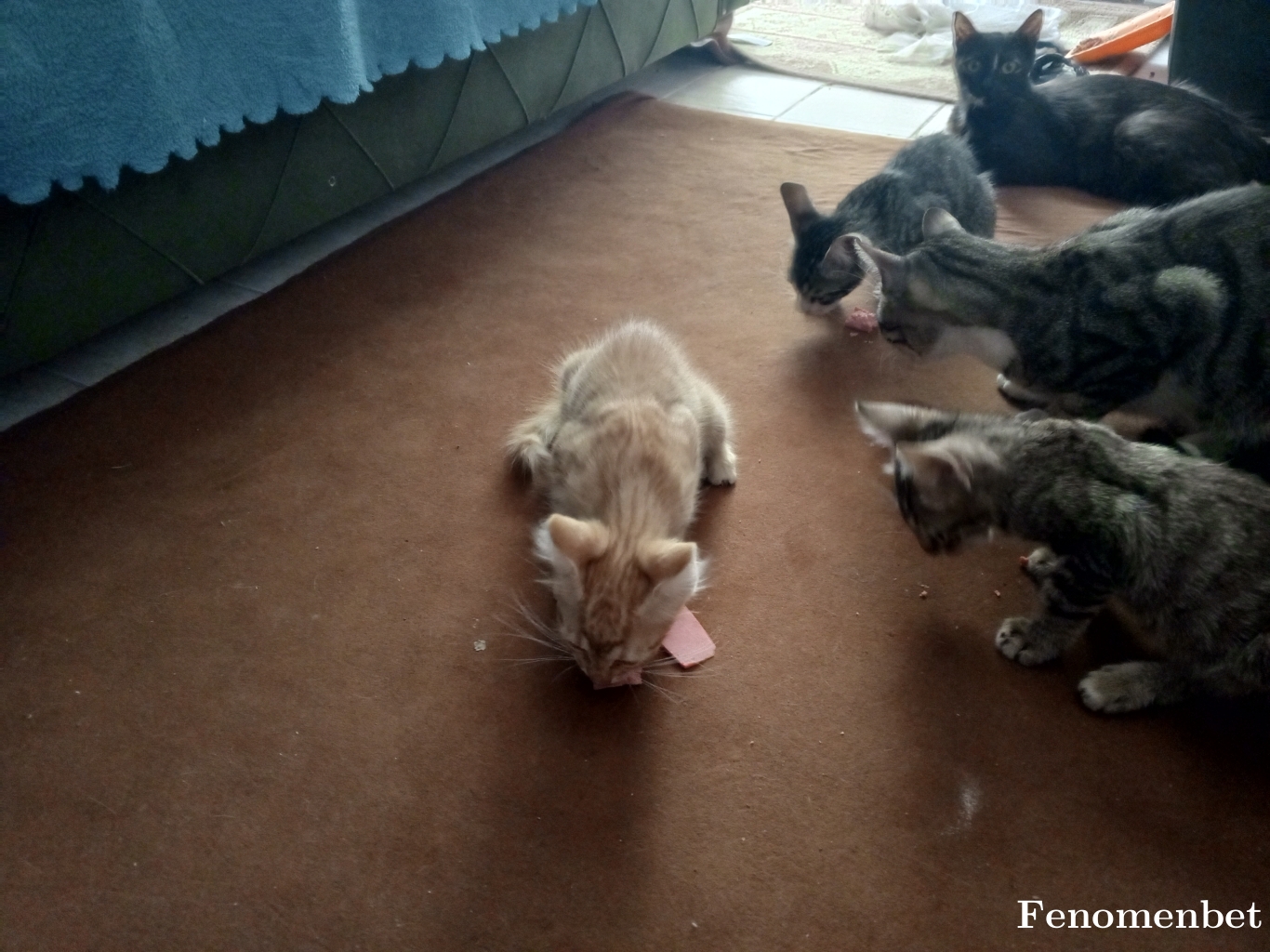 Microbe10 tarafından paylaşıldı