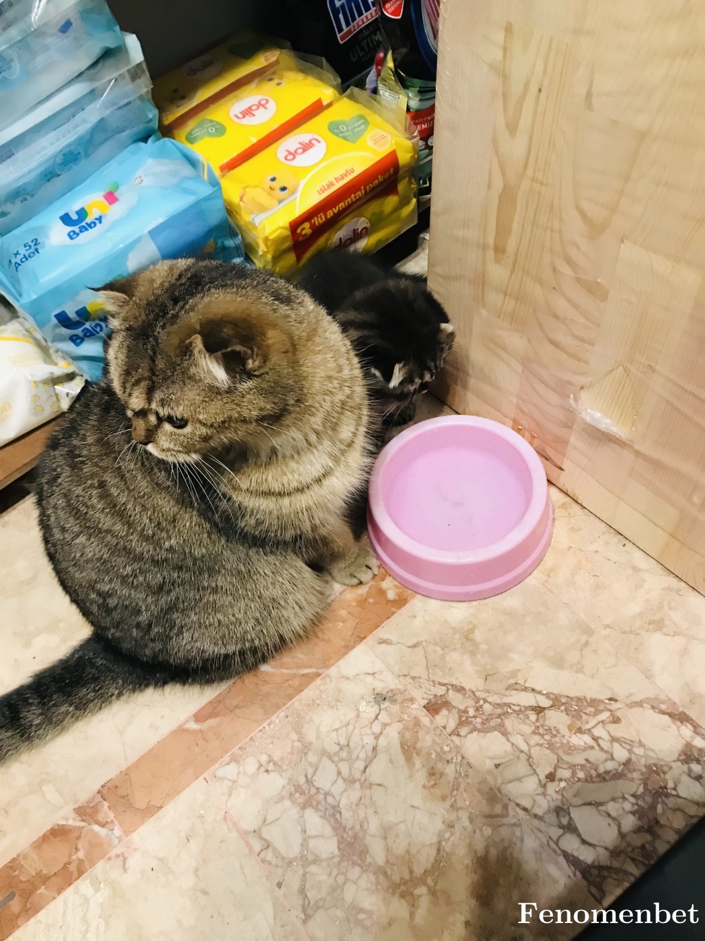 Pinar_ tarafından paylaşıldı