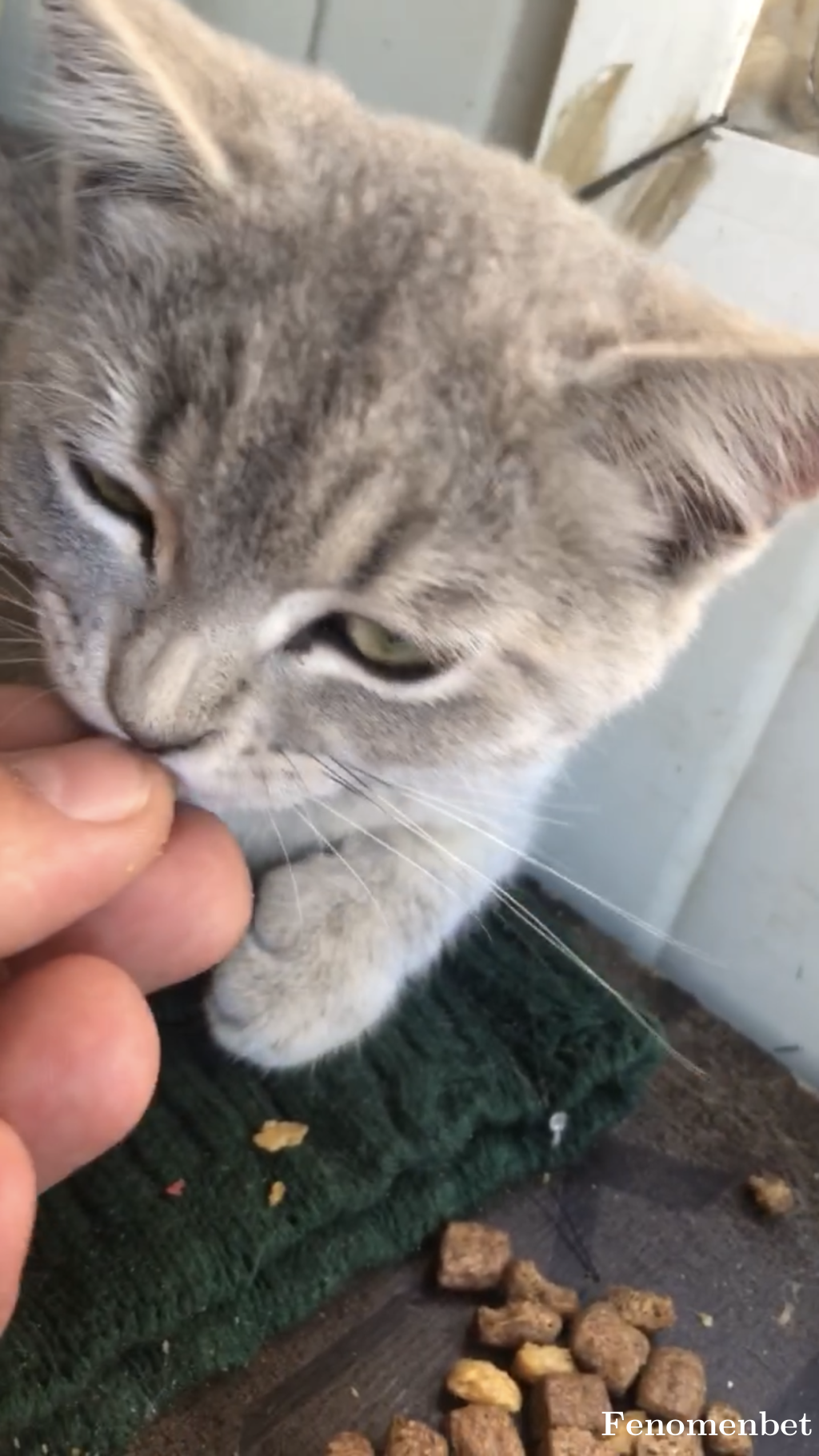 TEKKEN8 tarafından paylaşıldı